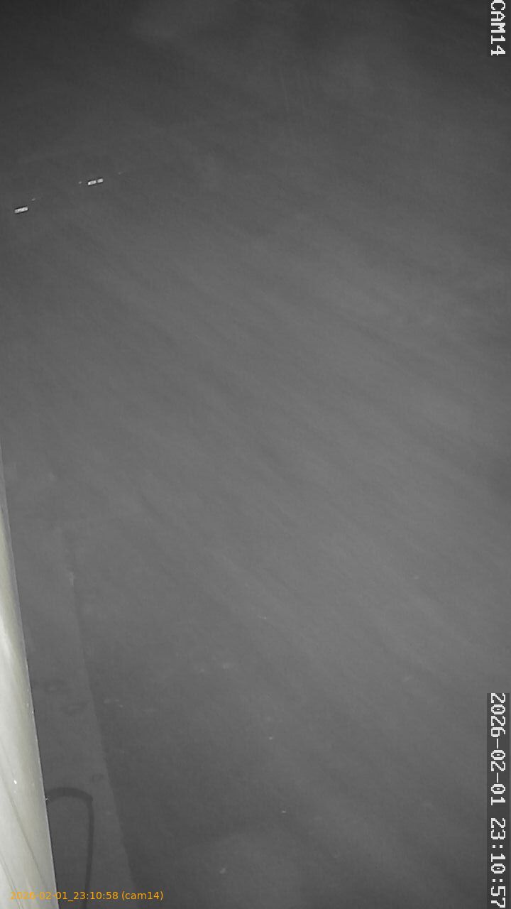 thumbnail_20260201231058