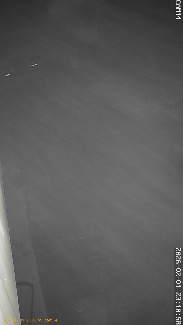 thumbnail_20260201231059