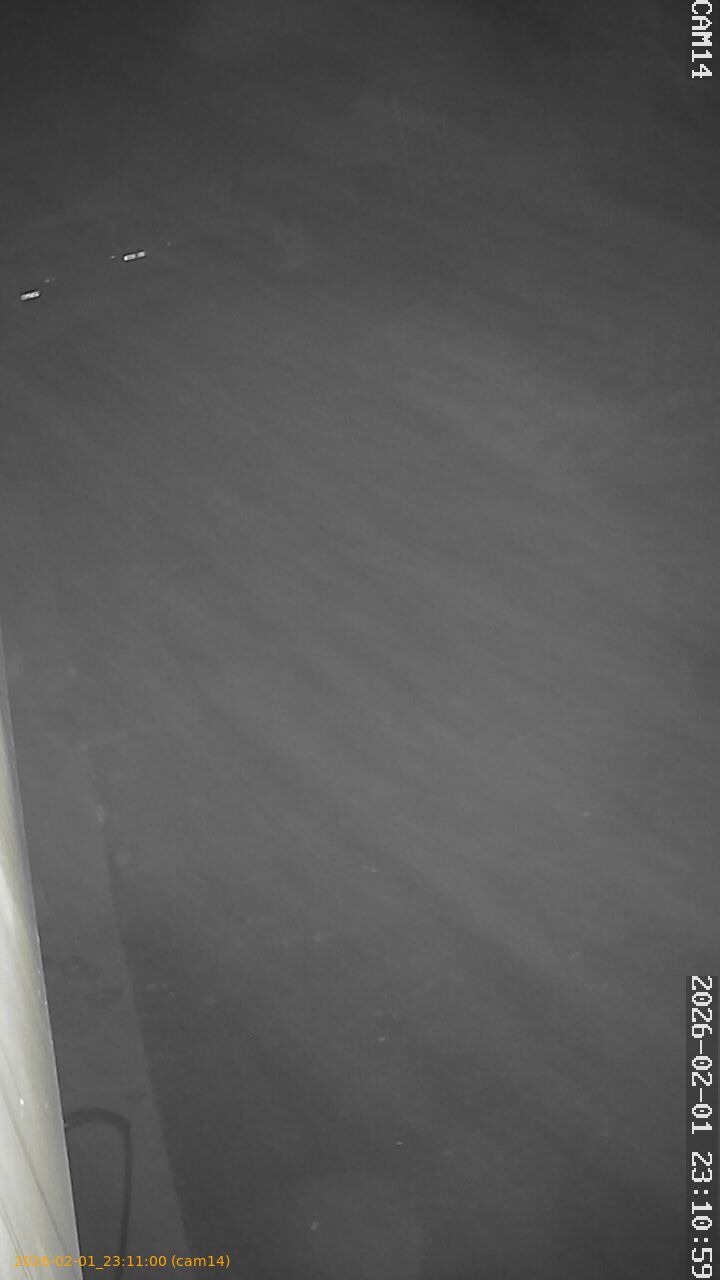 thumbnail_20260201231100