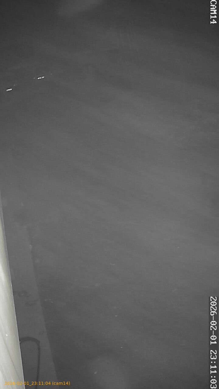 thumbnail_20260201231104