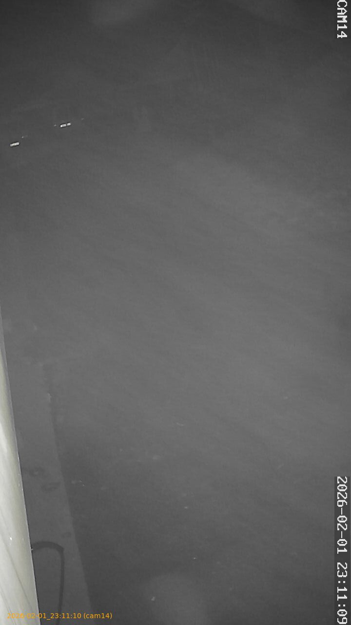 thumbnail_20260201231110