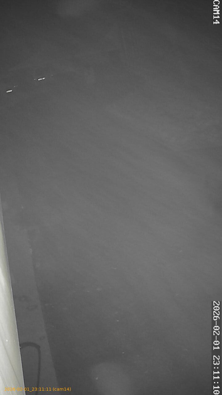 thumbnail_20260201231111