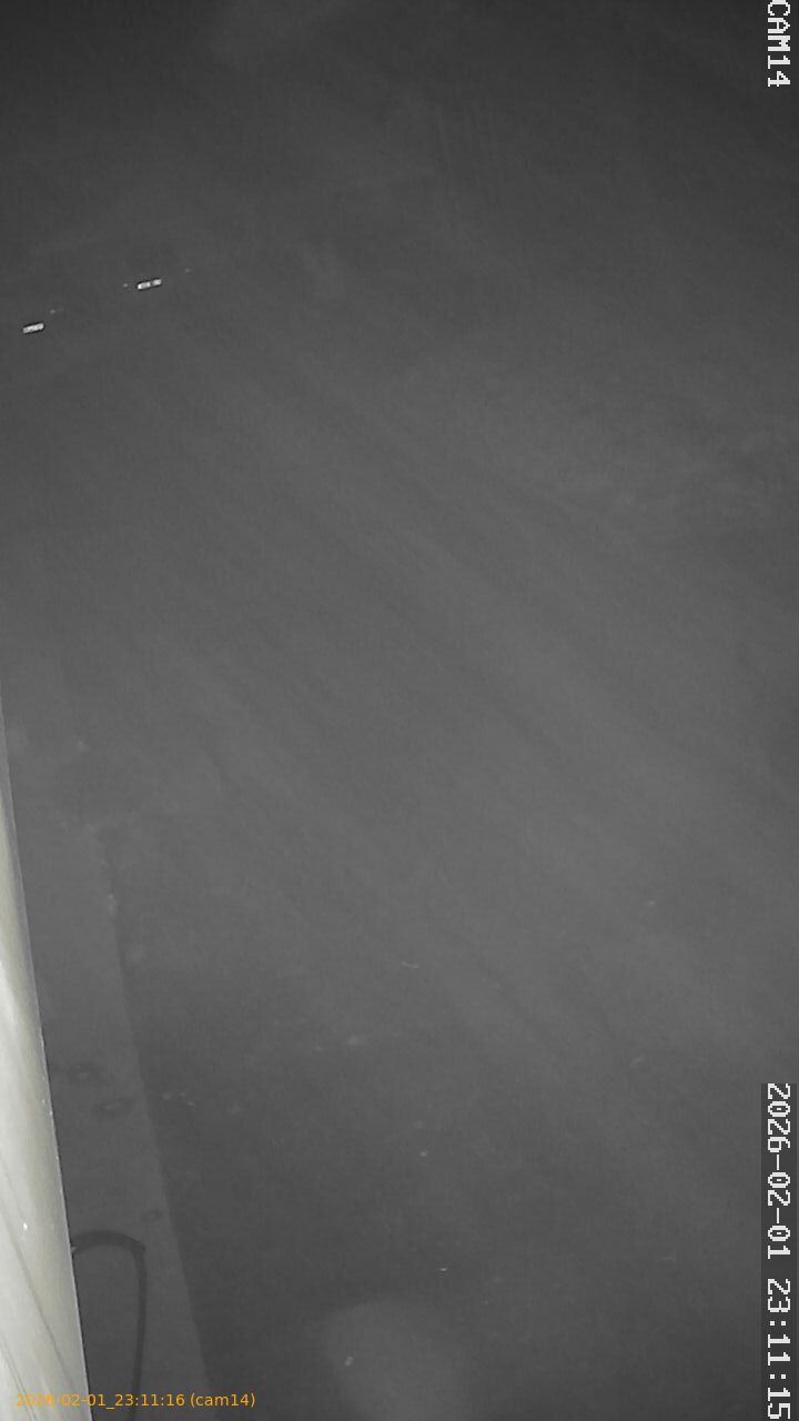 thumbnail_20260201231116