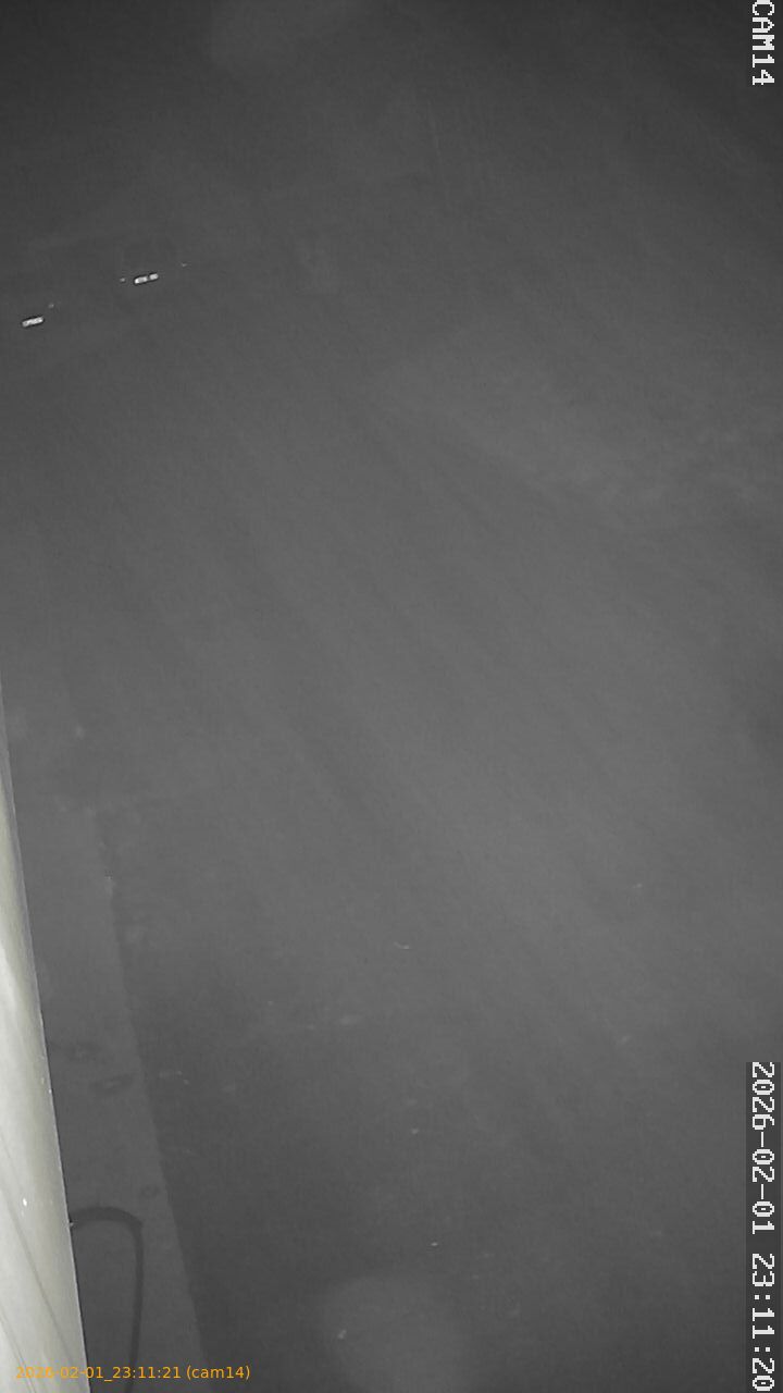 thumbnail_20260201231121