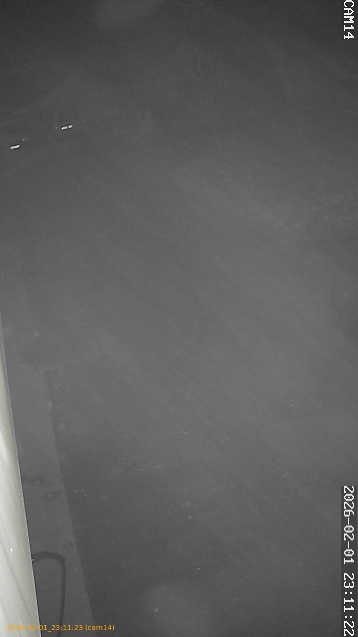 thumbnail_20260201231123