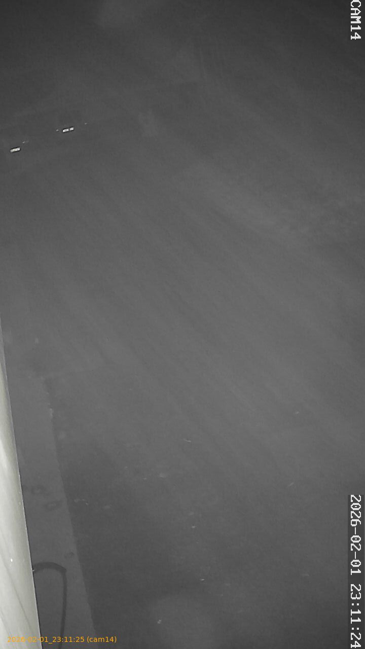 thumbnail_20260201231125