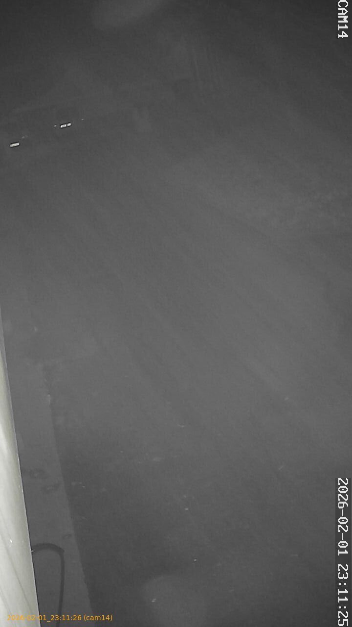 thumbnail_20260201231126