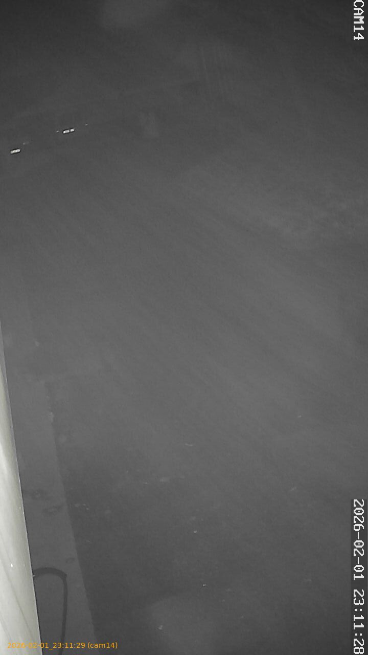 thumbnail_20260201231129