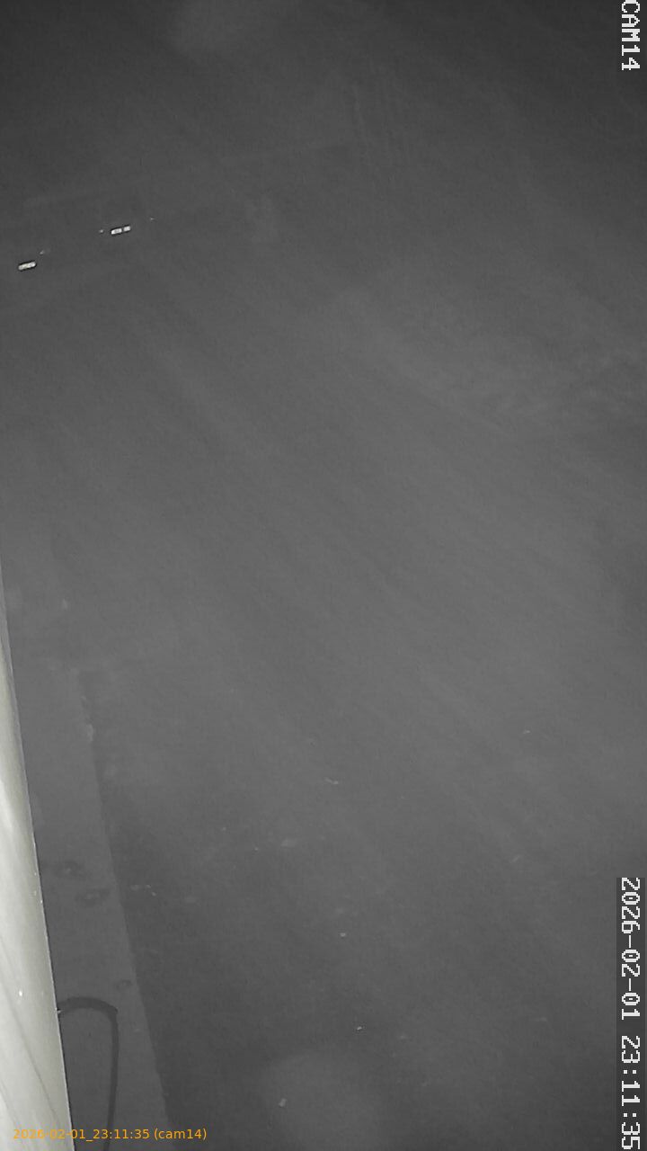 thumbnail_20260201231135