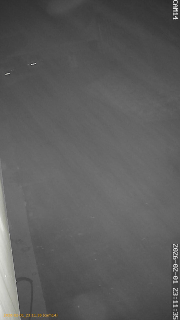 thumbnail_20260201231136