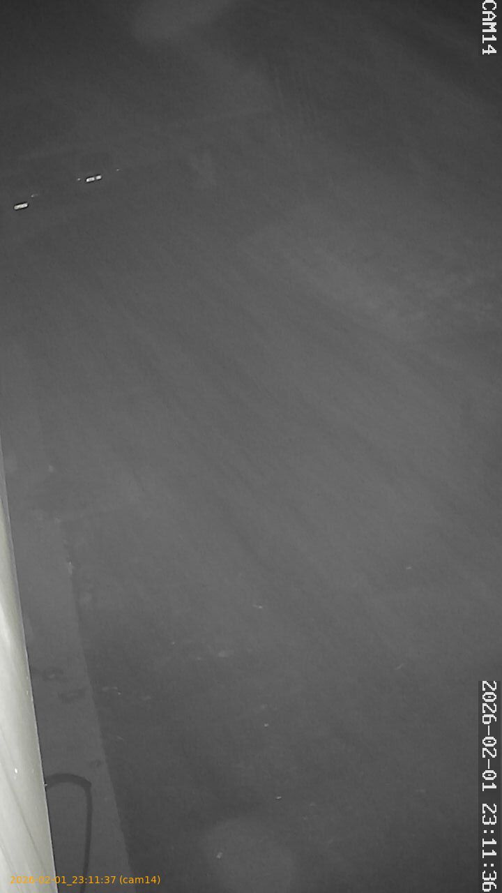 thumbnail_20260201231137