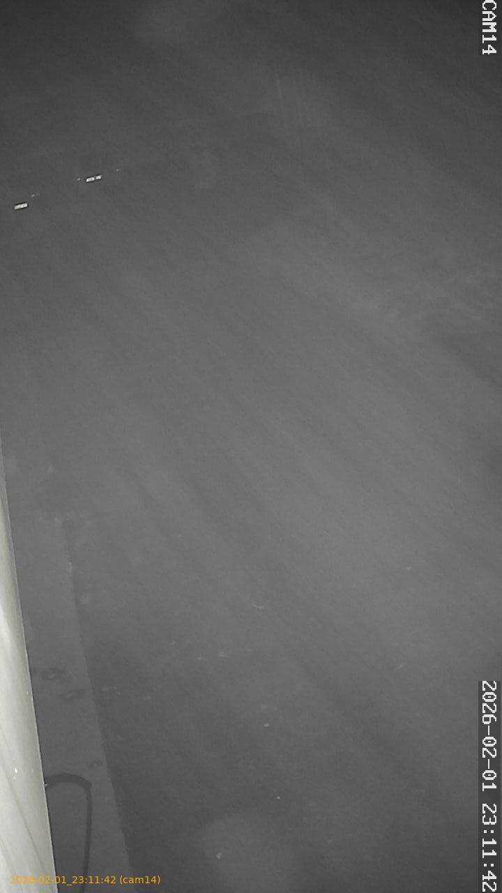 thumbnail_20260201231142