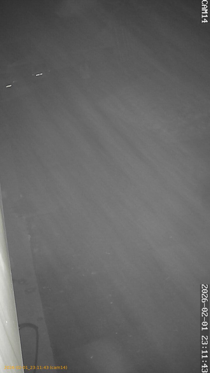 thumbnail_20260201231143