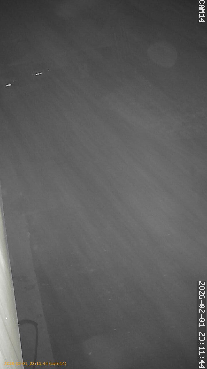 thumbnail_20260201231144