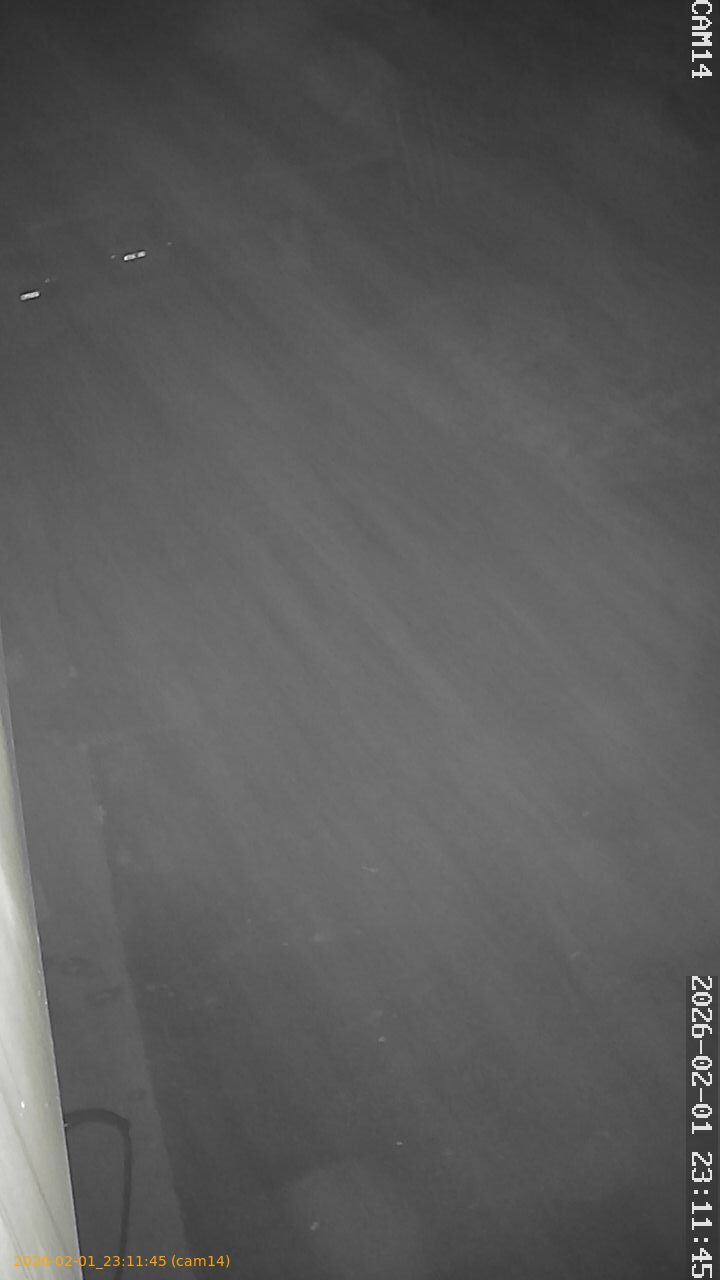 thumbnail_20260201231145