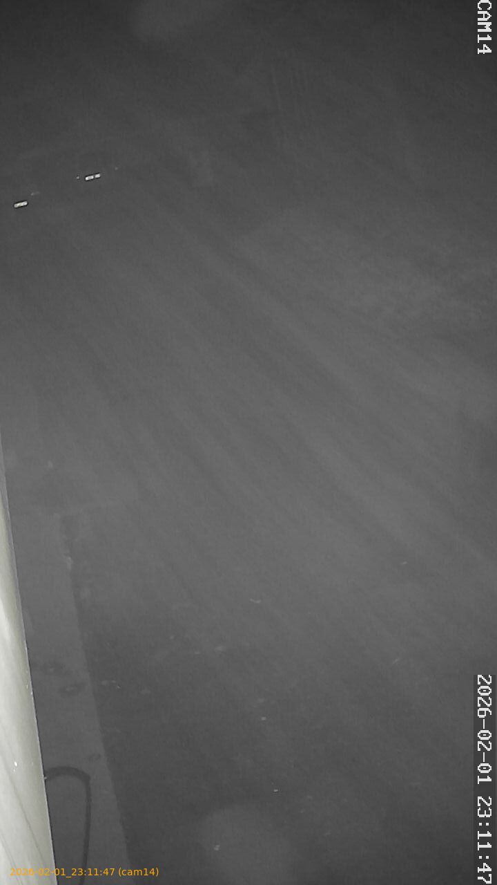 thumbnail_20260201231147