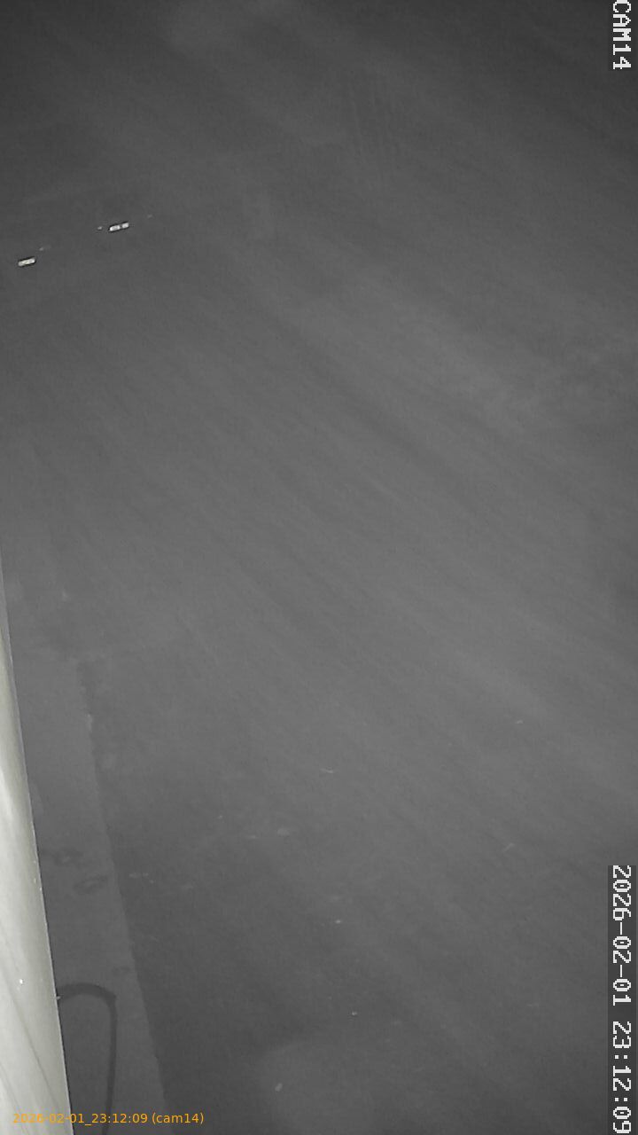 thumbnail_20260201231209