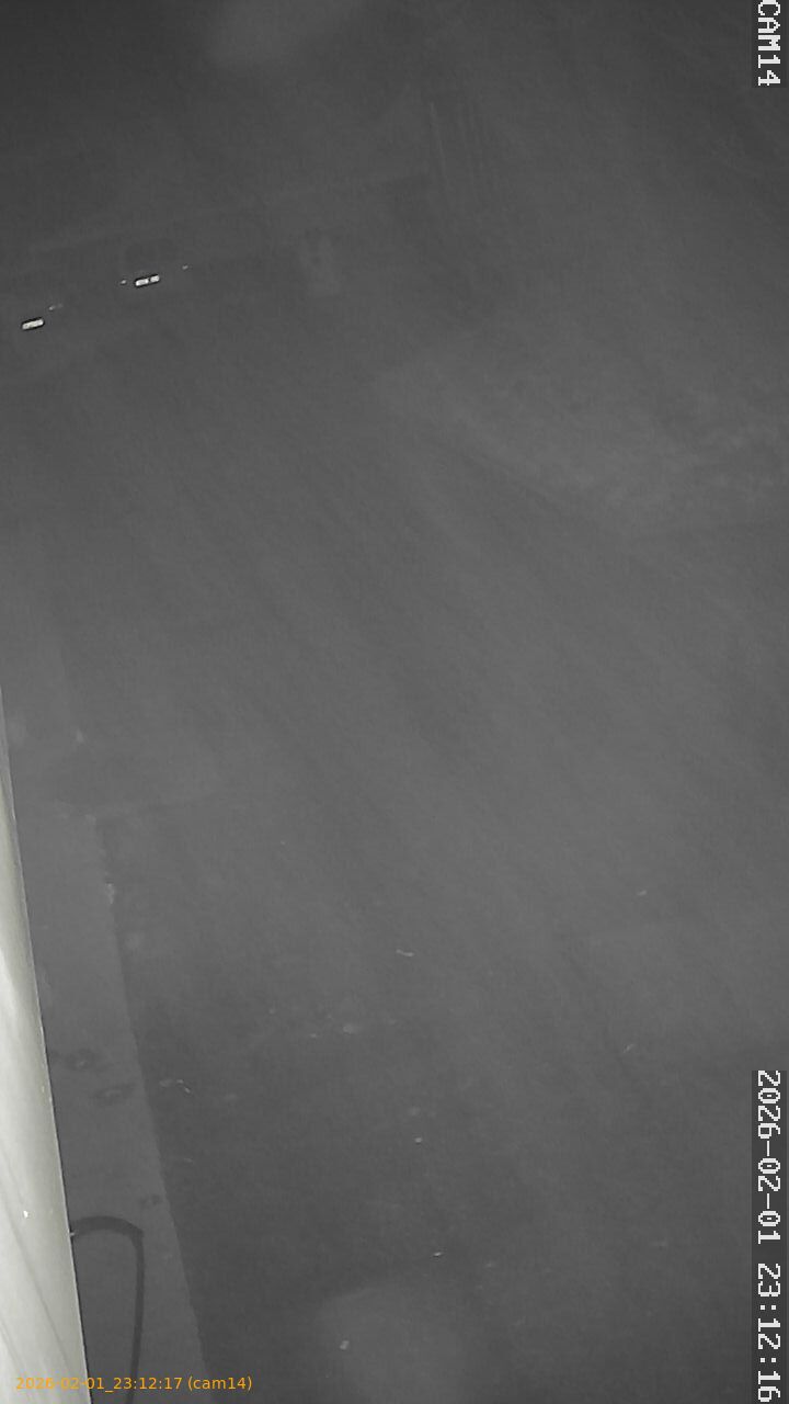 thumbnail_20260201231217