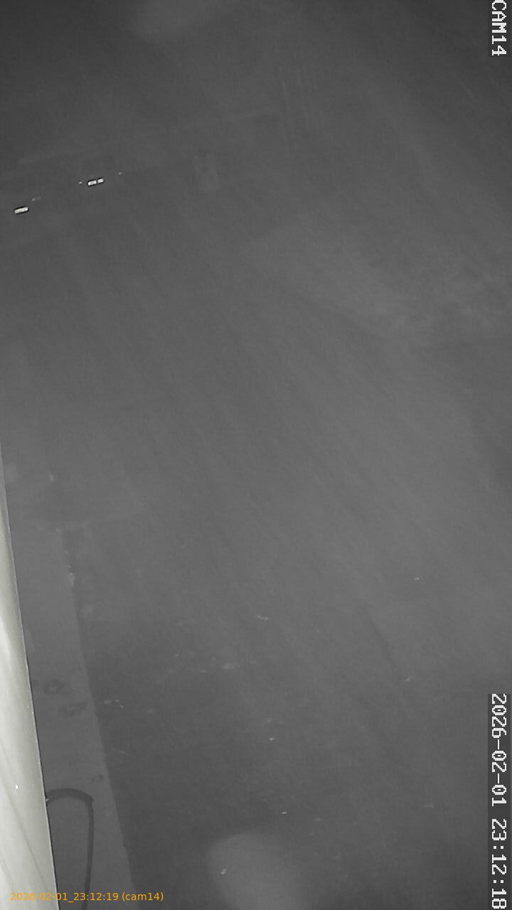 thumbnail_20260201231218