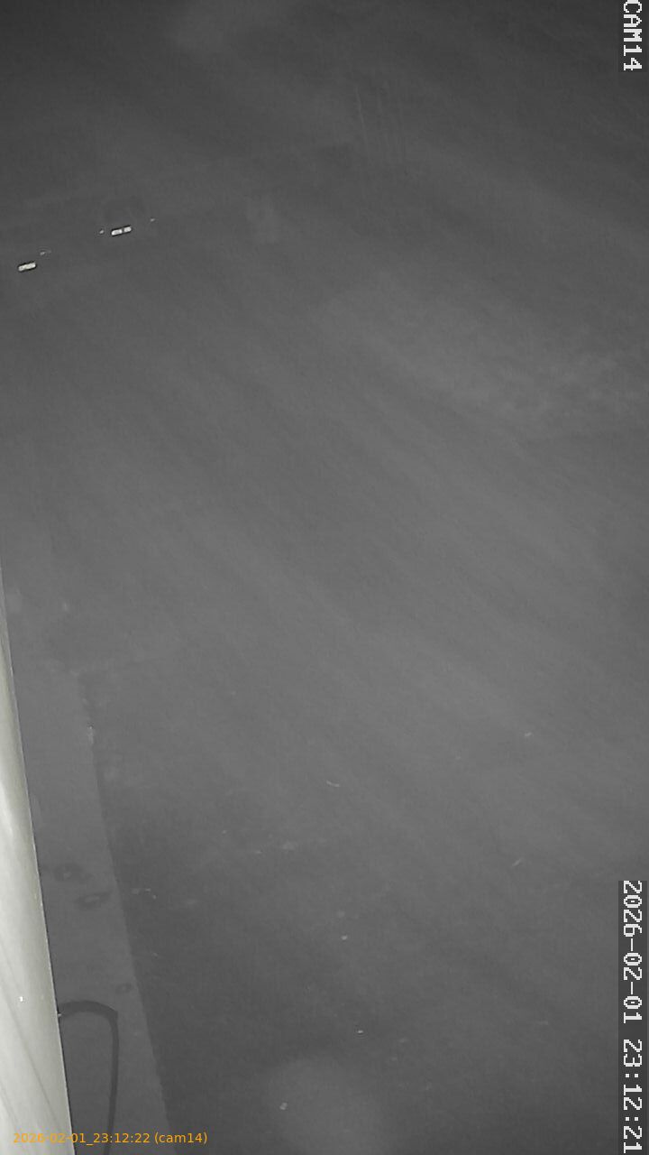 thumbnail_20260201231221