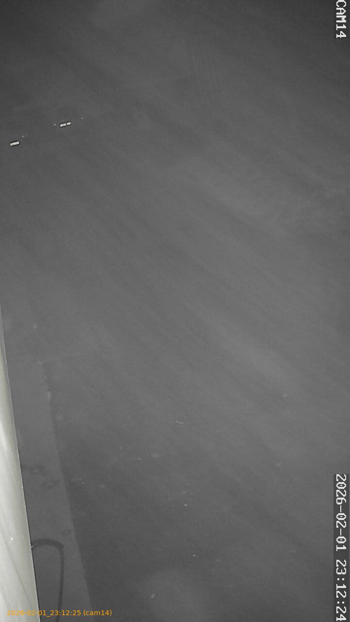 thumbnail_20260201231225