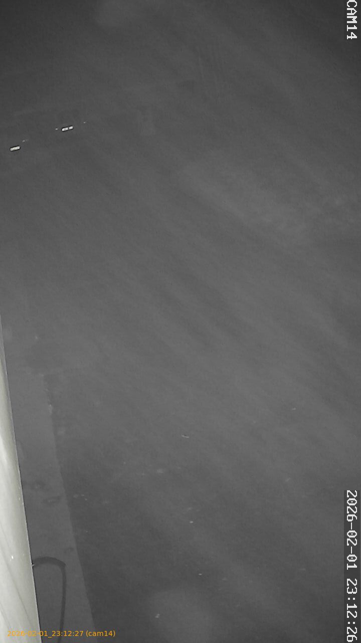 thumbnail_20260201231227