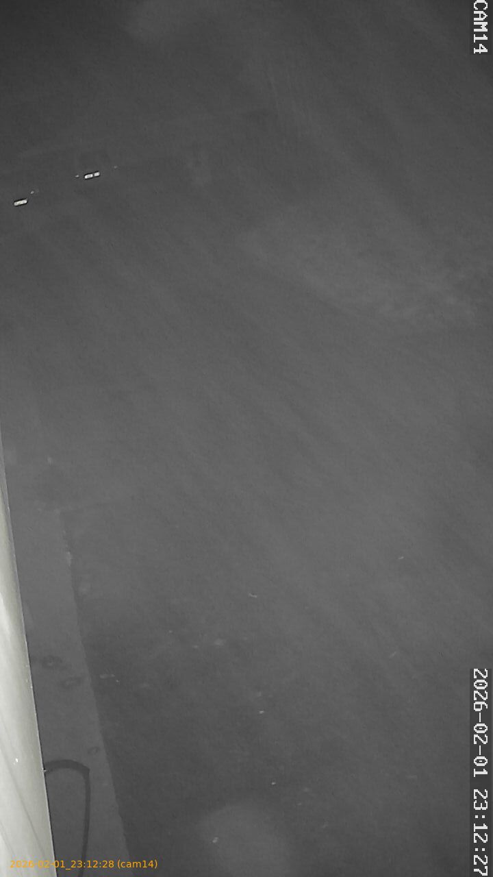 thumbnail_20260201231228