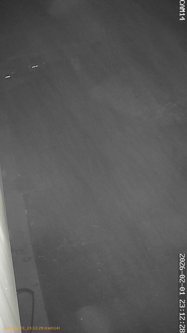 thumbnail_20260201231229