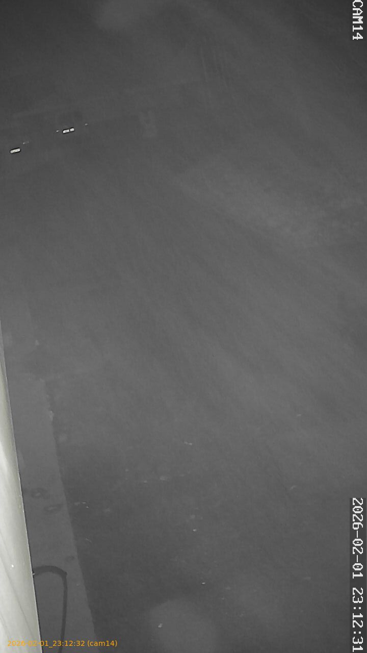 thumbnail_20260201231232