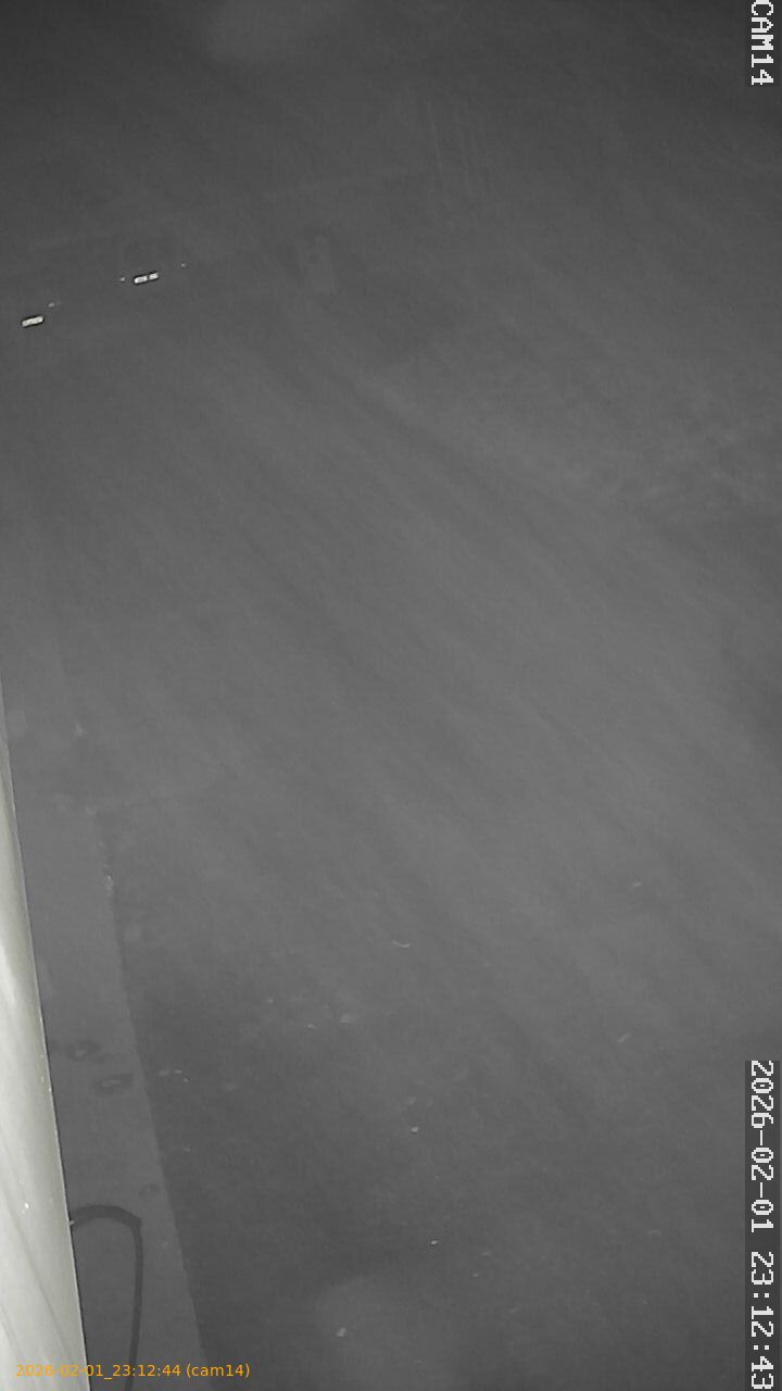 thumbnail_20260201231244