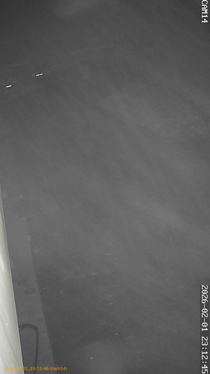 thumbnail_20260201231246