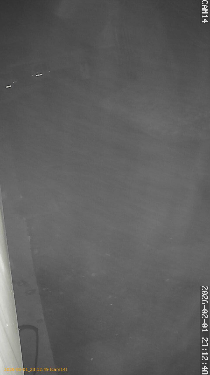 thumbnail_20260201231249