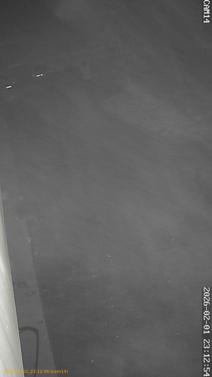 thumbnail_20260201231256