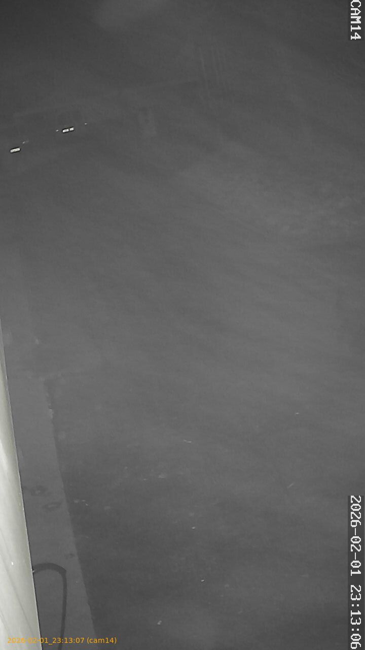 thumbnail_20260201231307