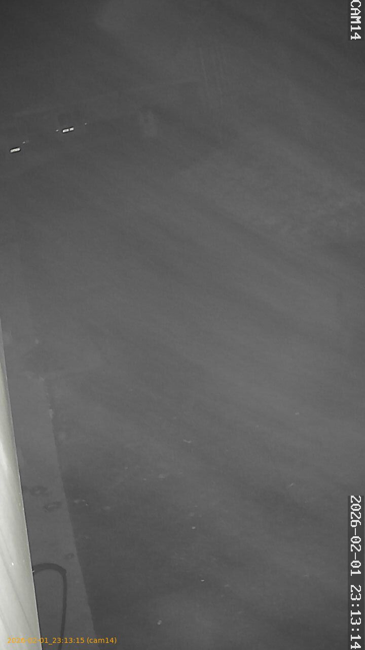 thumbnail_20260201231315