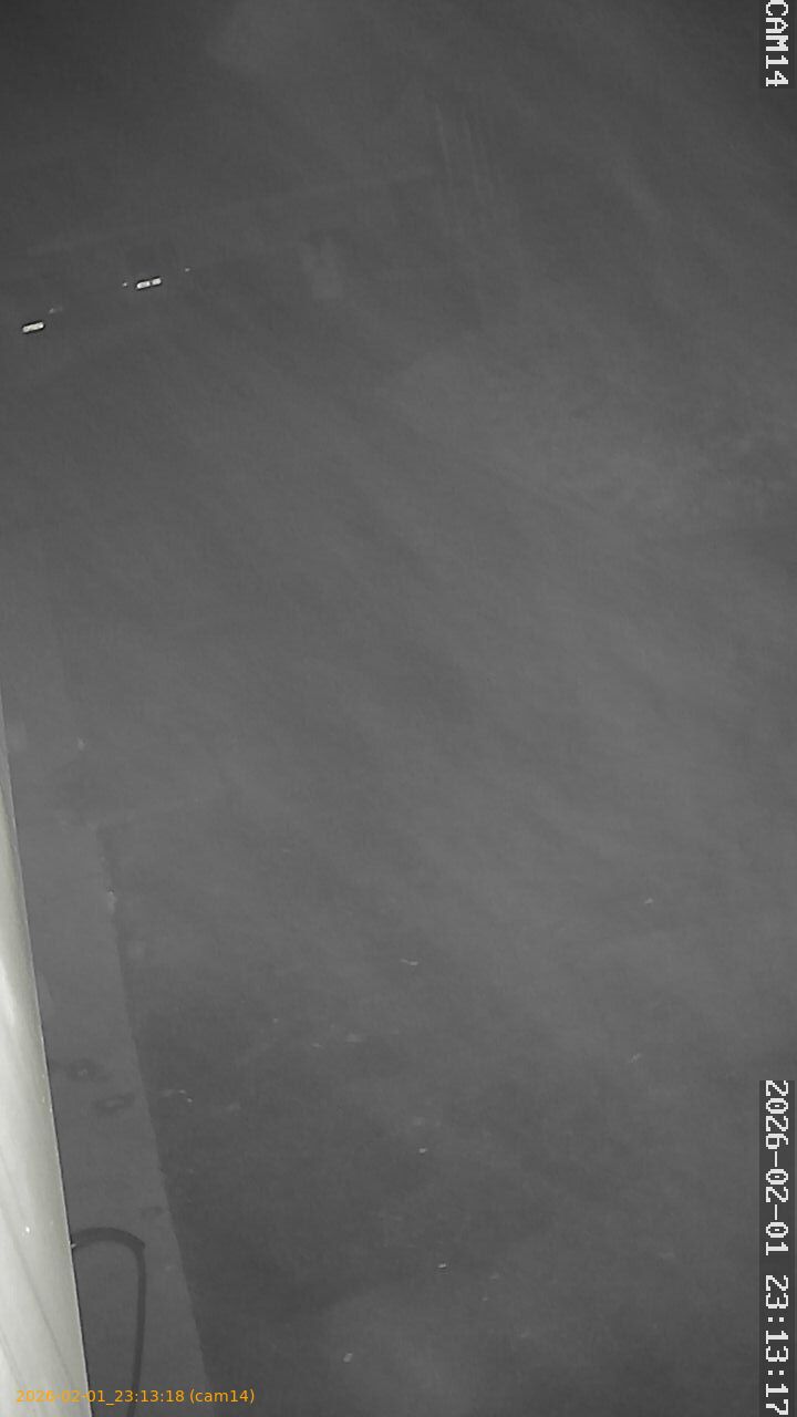 thumbnail_20260201231318