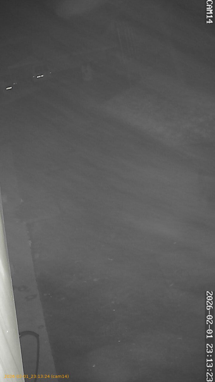 thumbnail_20260201231324