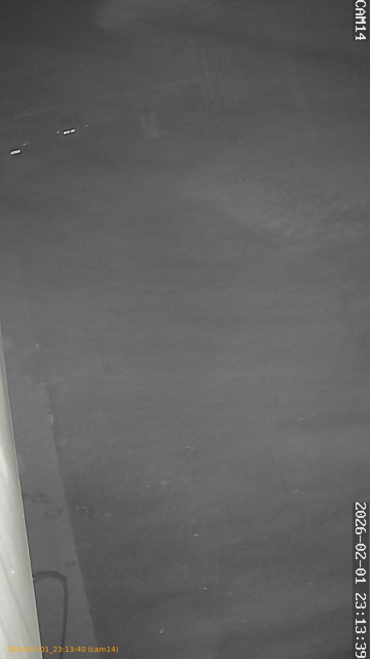 thumbnail_20260201231340