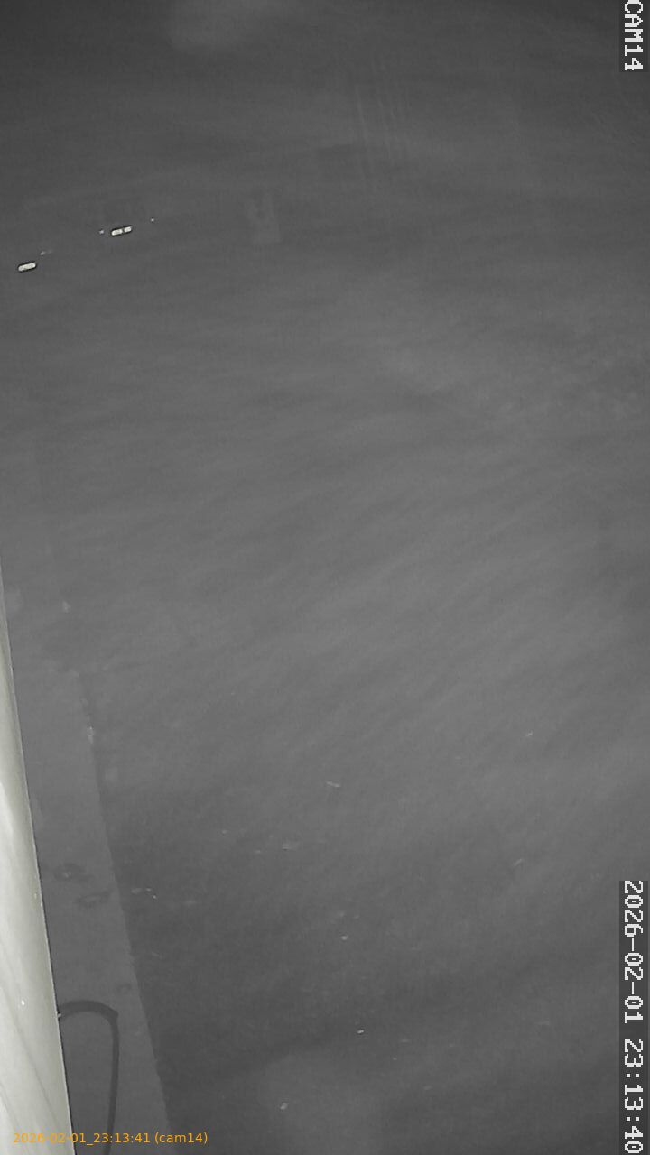 thumbnail_20260201231341