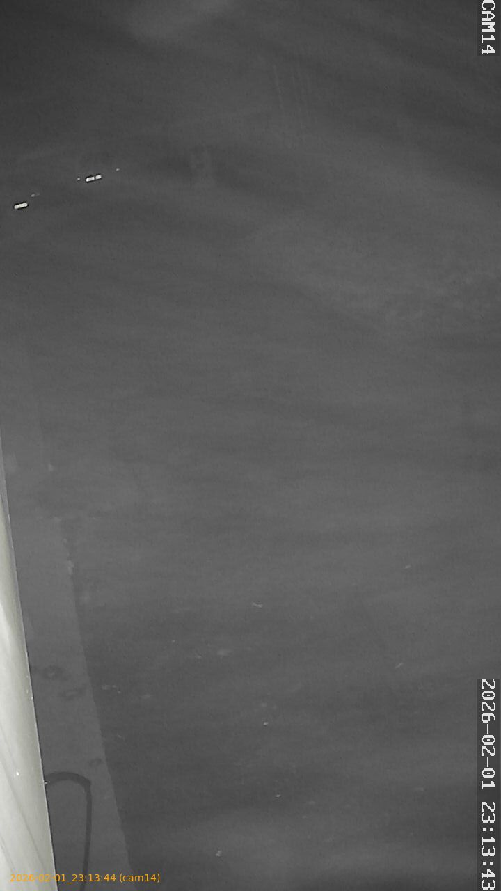 thumbnail_20260201231344