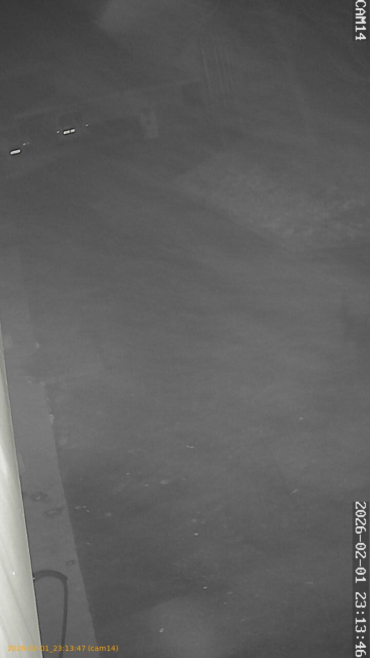 thumbnail_20260201231347