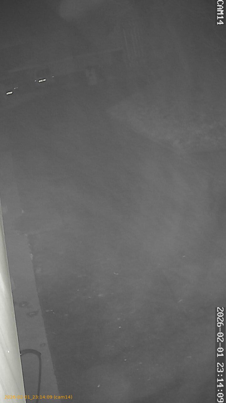 thumbnail_20260201231409