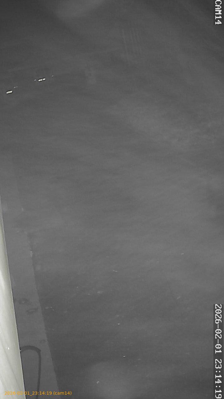 thumbnail_20260201231419