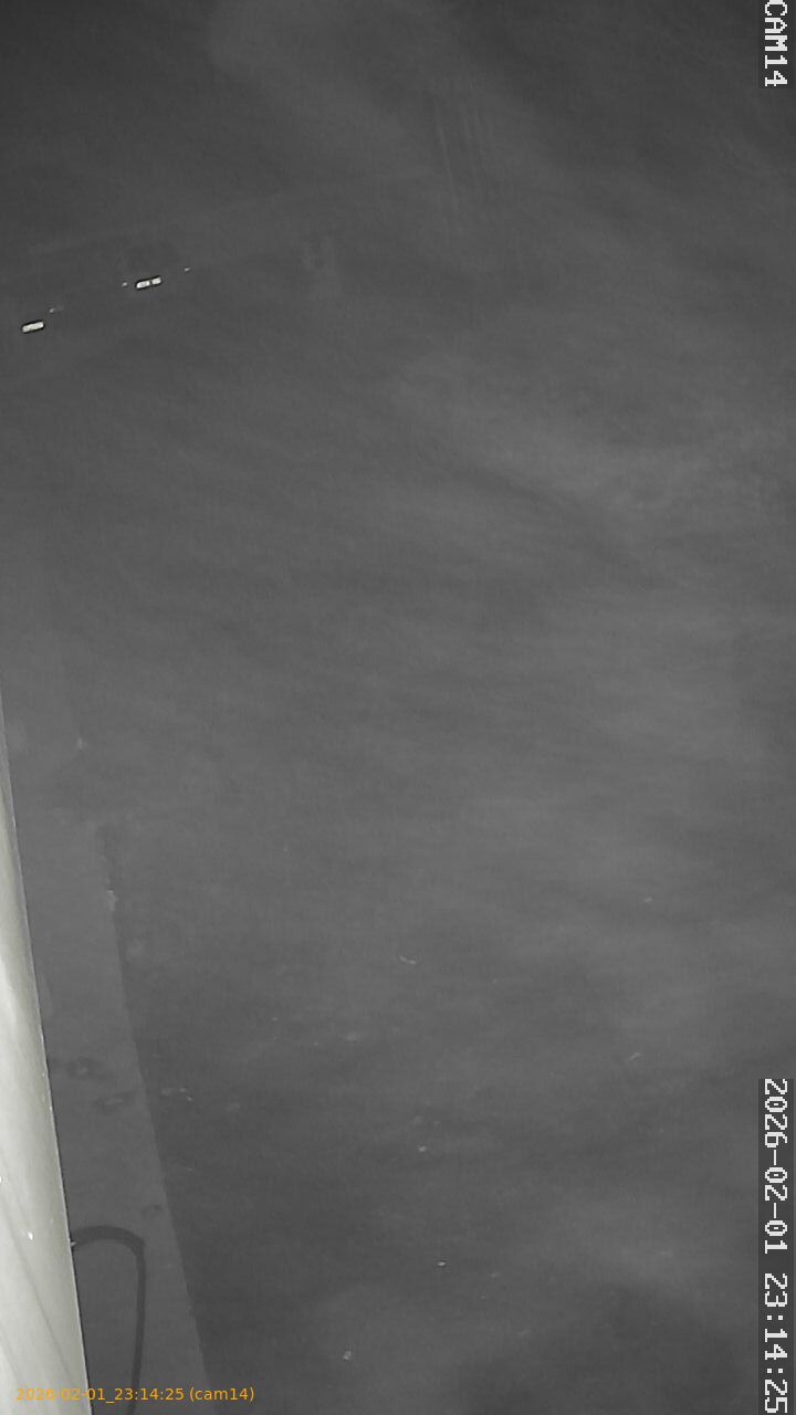 thumbnail_20260201231425