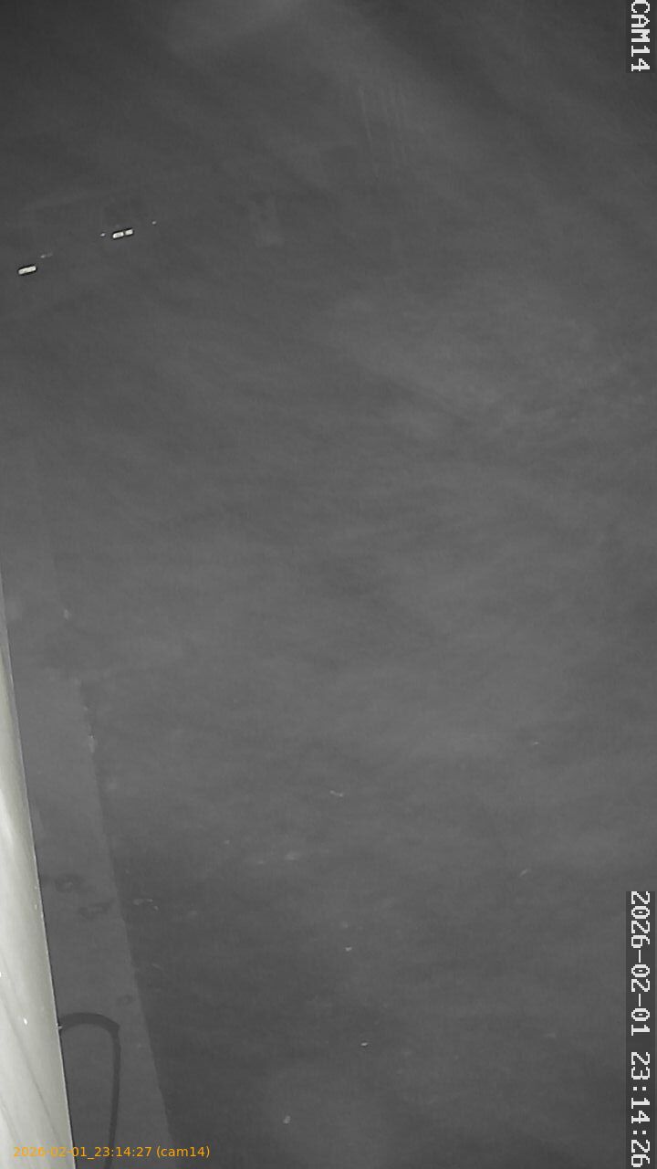 thumbnail_20260201231426