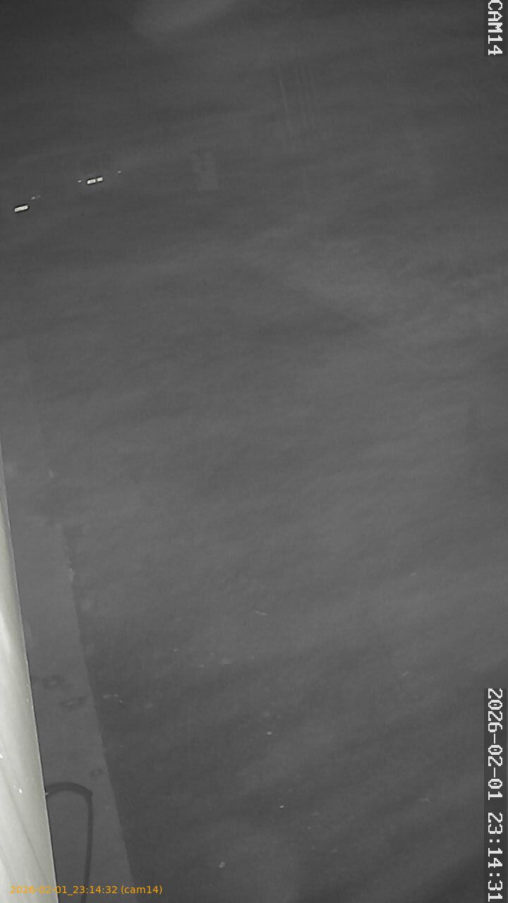 thumbnail_20260201231431