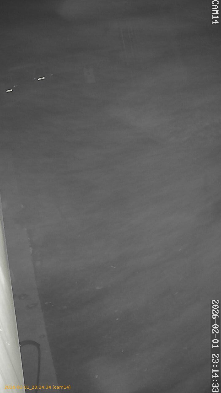 thumbnail_20260201231433