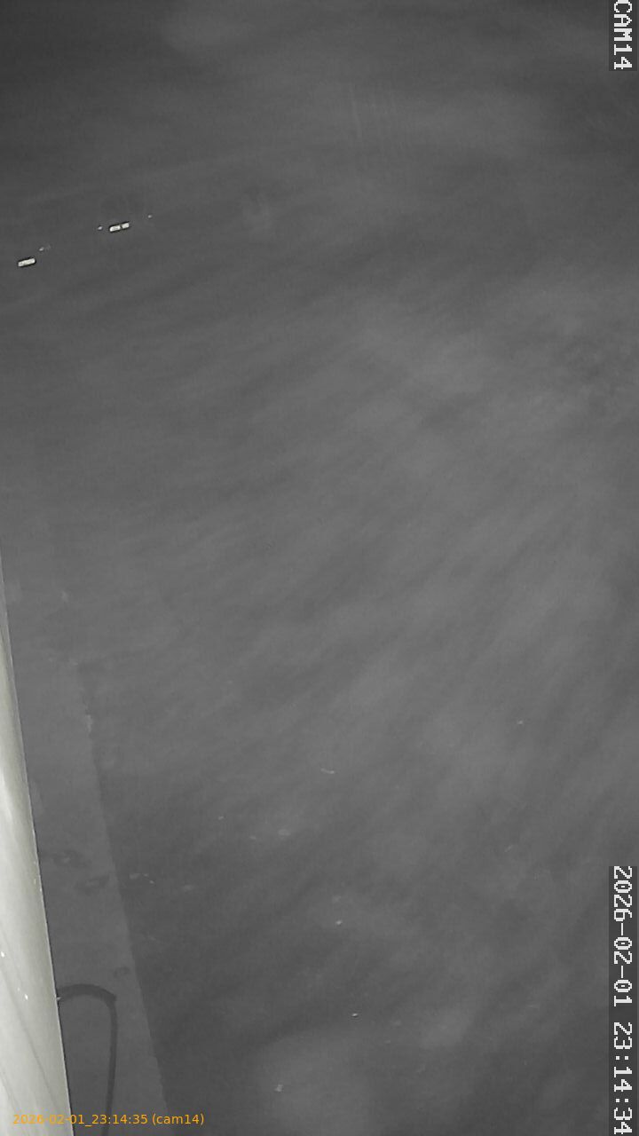 thumbnail_20260201231434