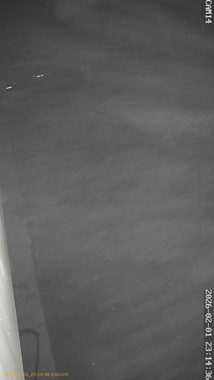 thumbnail_20260201231438