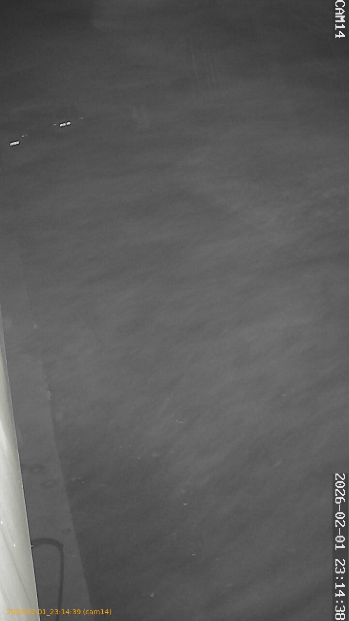 thumbnail_20260201231439